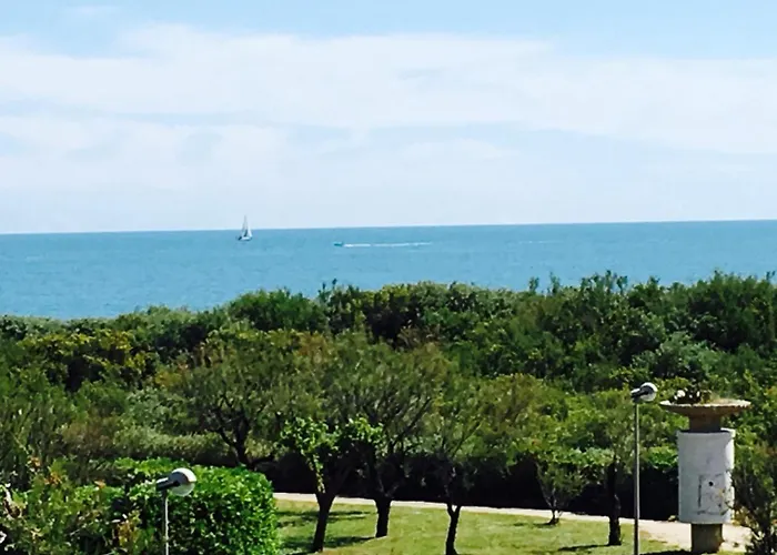 Avec Accès Direct Piscine Collective Et - 4fr503 * Saint-Cyprien (Pyrenees-Orientales)